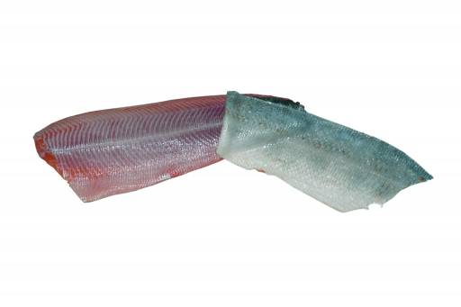 CBF 496 SALMON обесшкуривание лосось при помощи тупого ножа (silver skinning)